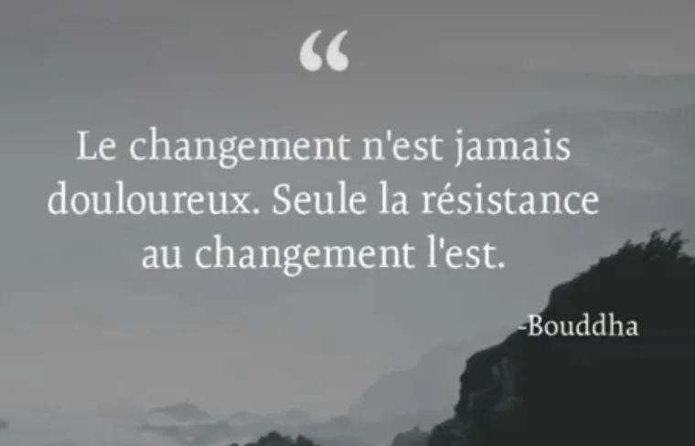  ANNE CAPELIER.   VOUS ACCOMPAGNE, Valenciennes, Anne Capelier