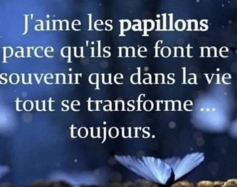 ANNE CAPELIER.    SENTIMENT D’IMPUISSANCE, Valenciennes, Anne Capelier