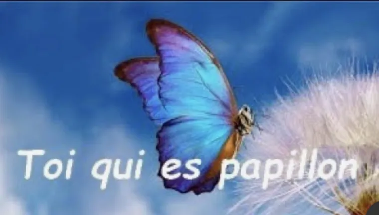 ANNE CAPELIER.     EFFET PAPILLON, Valenciennes, Anne Capelier