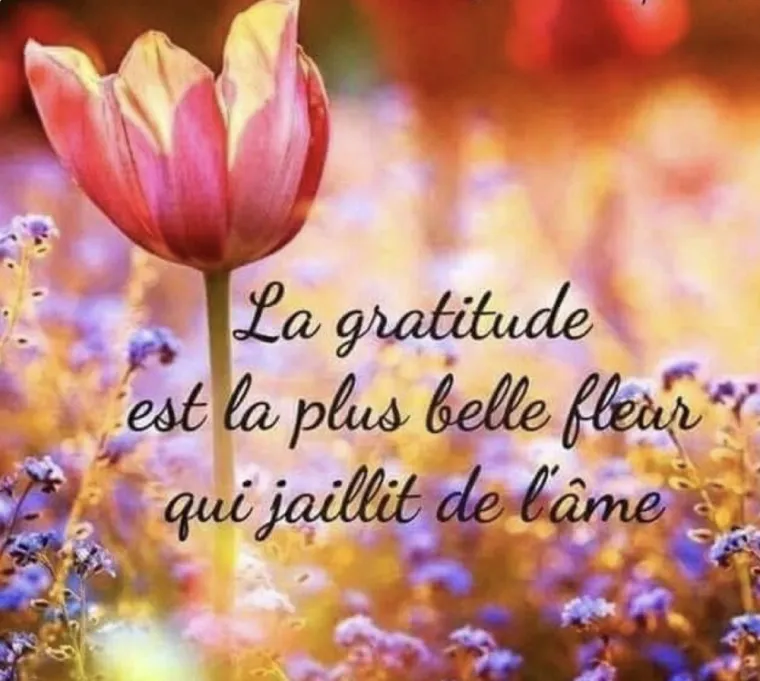 ANNE CAPELIER.       LA GRATITUDE, Valenciennes, Anne Capelier