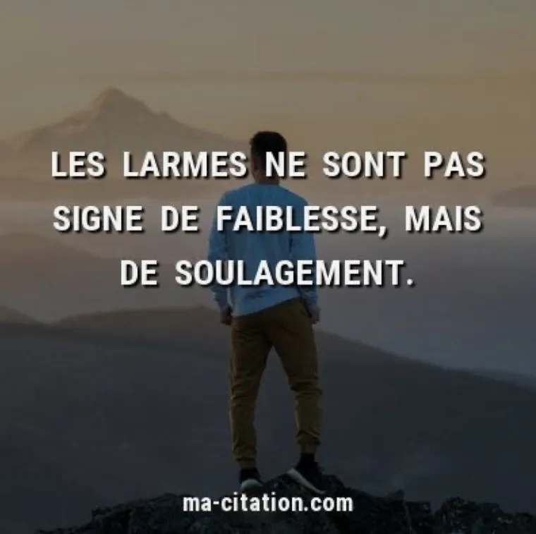 ANNE CAPELIER. LIBERER LES LARMES , Valenciennes, Anne Capelier