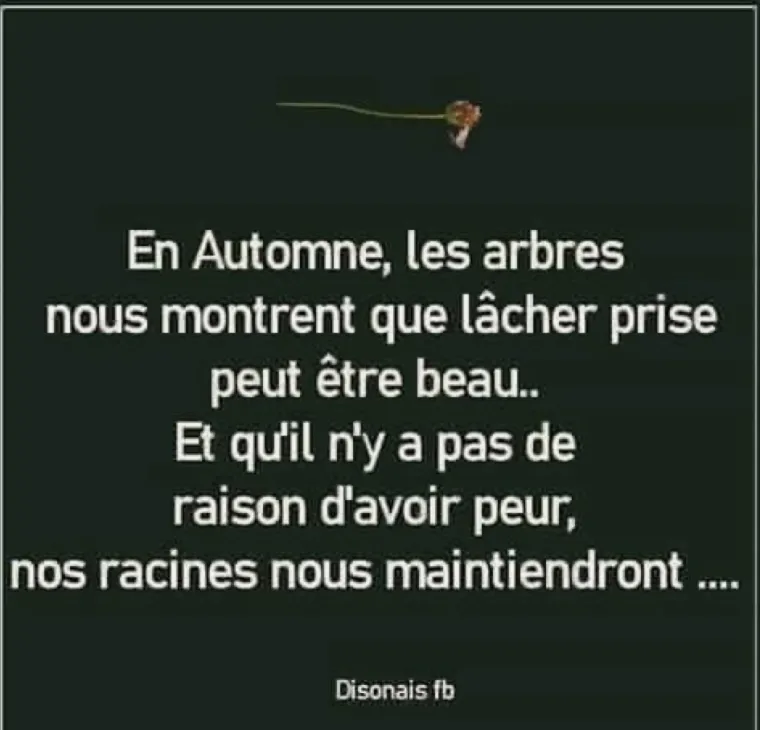 ANNE CAPELIER.      L’ AUTOMNE , Valenciennes, Anne Capelier