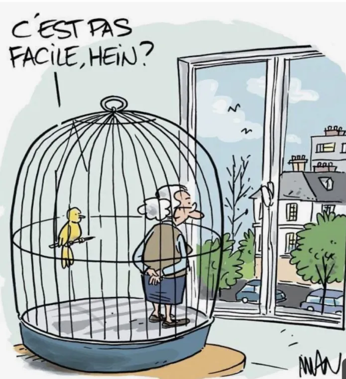 ANNE CAPELIER.  OUVRIR LA CAGE AUX OISEAUX, Valenciennes, Anne Capelier