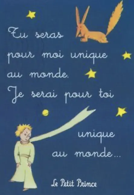 ANNE CAPELIER.  L’AMOUR DANS LE PETIT PRINCE, Valenciennes, Anne Capelier
