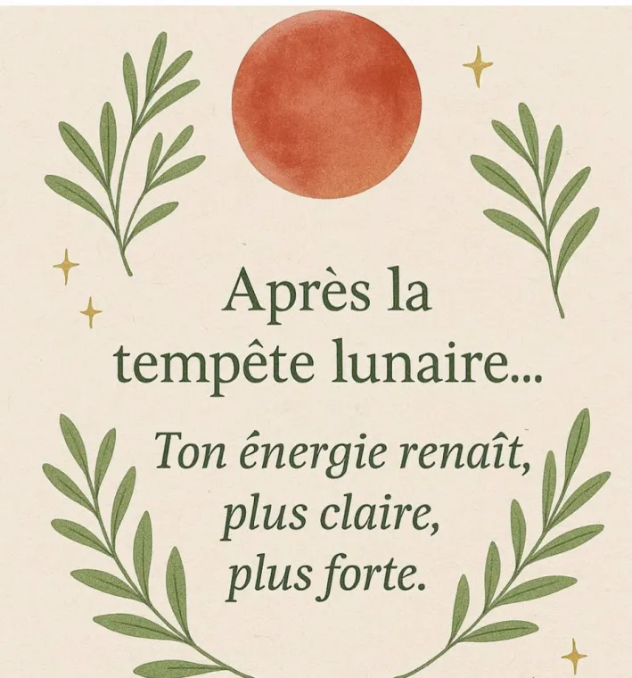 ANNE CAPELIER. NOUVELLE LUNE , Valenciennes, Anne Capelier