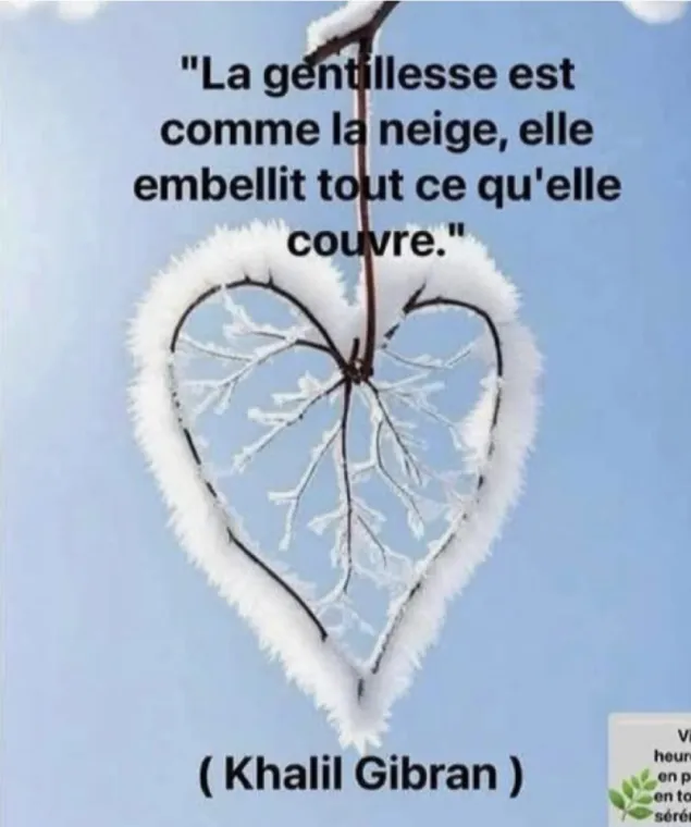 ANNE. CAPELIER.     LA TENDRESSE, Valenciennes, Anne Capelier